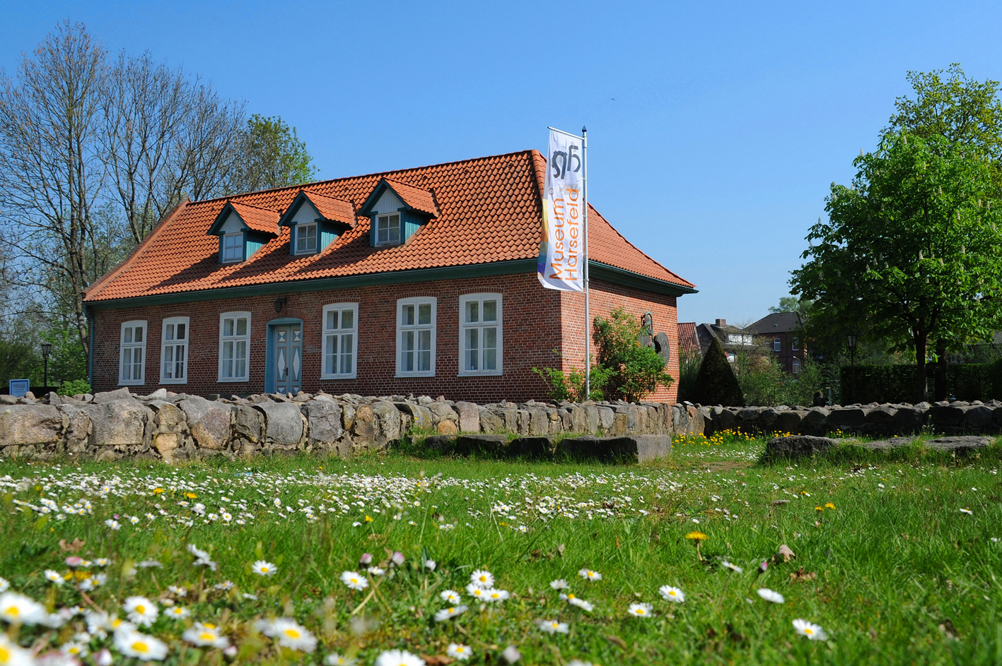 Museum Klostergarten Harsefeld mit GänseblümchenMartin Elsen